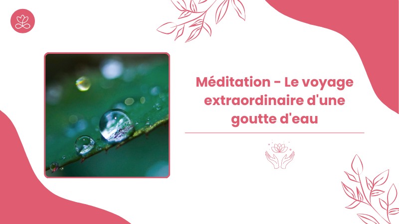 Jour 31. Méditation - Le voyage extraordinaire d'une goutte d'eau avec France Auger
